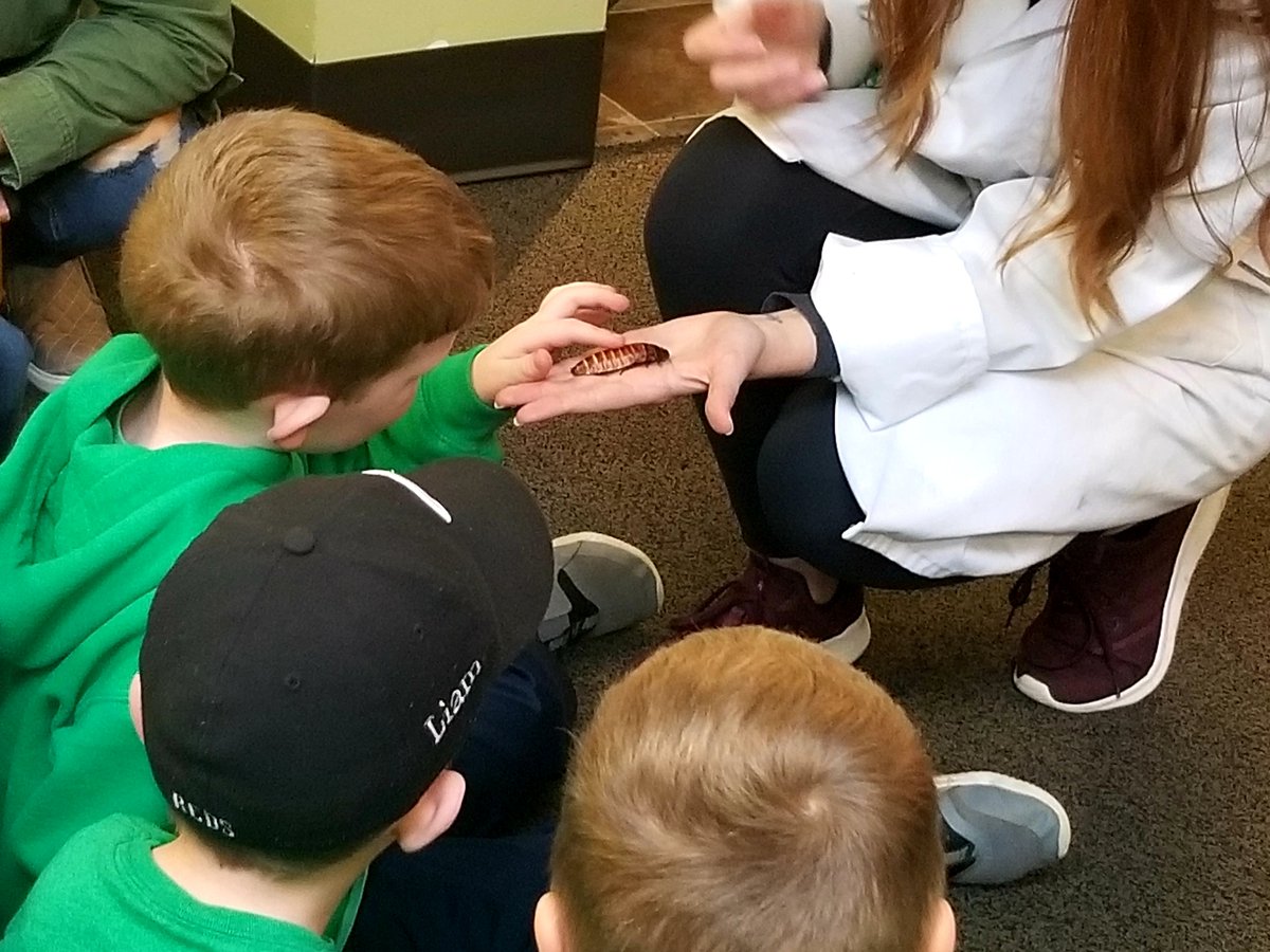 MrsTonya_LPS's tweet photo. Some kindergarteners enjoyed the bug class at the Explorium more than others! https://t.co/7Bade9ygWU