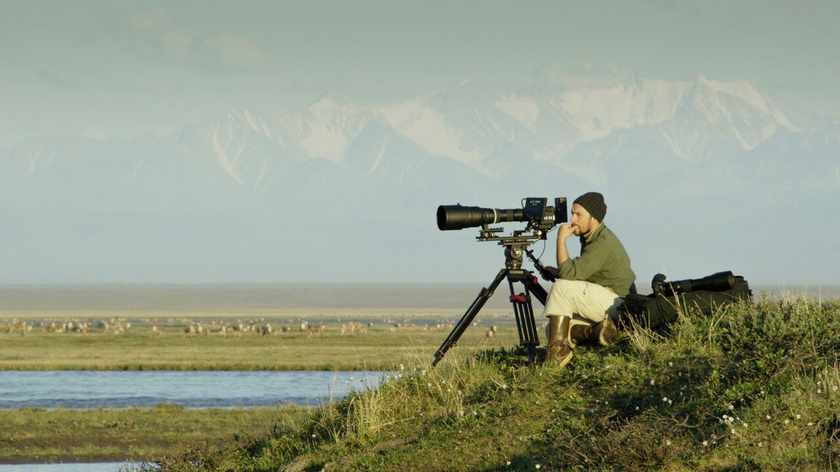 Cosmic Picture is proud to announce that it will distribute America’s Arctic, the upcoming giant screen documentary from Terra Mater Factual Studios. The film will premiere in the fall of 2020.

More information - bit.ly/CosmicAmAr