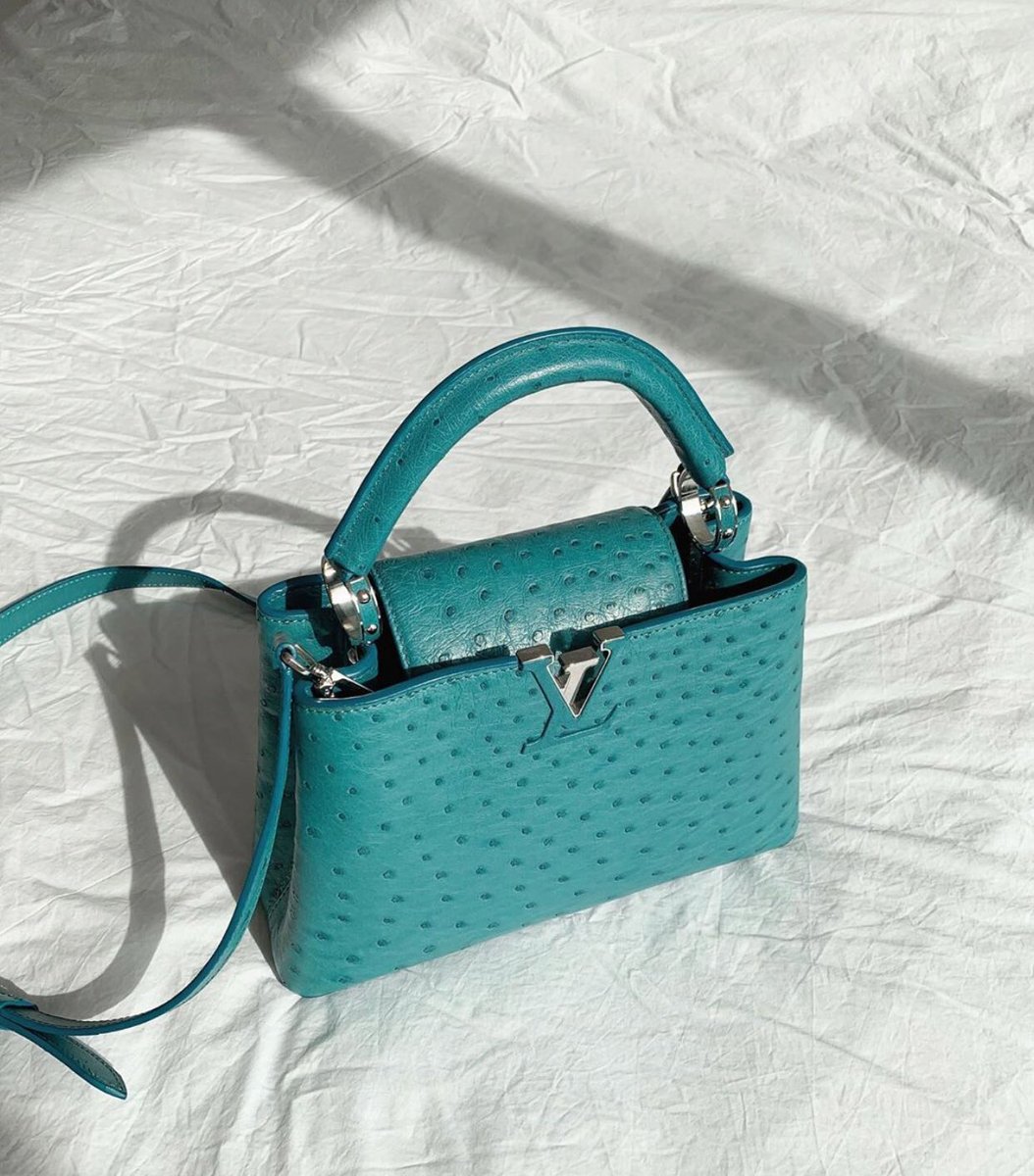 maisonartluxe's tweet photo. louis vuitton capucines bags https://t.co/Pz13CgO1bA