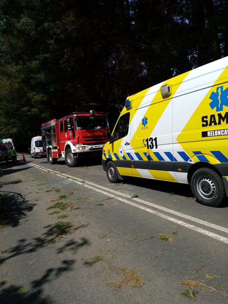 TTILosLagos's tweet photo. ⚠️🔵 AHORA #Osorno: tránsito normalizado en Ruta U-55-V #PuertoOctay #Frutillar tras caída de ramas de árbol sobre vehículo menor sector #Quilanto.
Unidades de emergencia trabajaron en el lugar, manejar con precaución 🚒🚑 https://t.co/PEvDUpQHqu