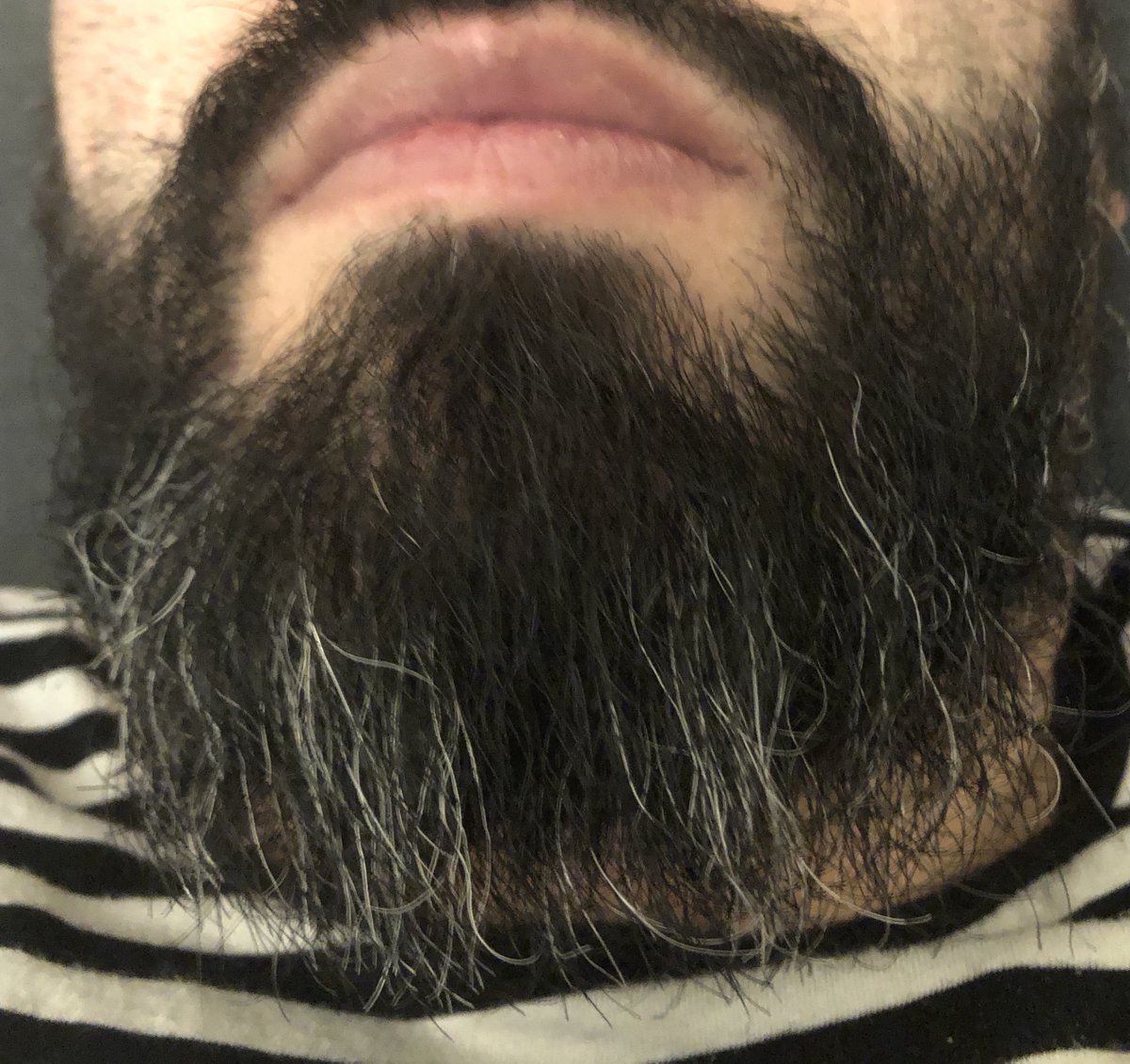HugoRammsy's tweet photo. Tur man ska in för trimning imorgon #luffare https://t.co/a3SOdxpx0x