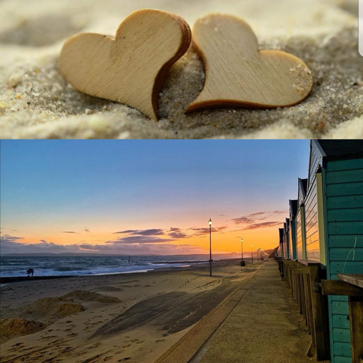Bournecoast tweet media