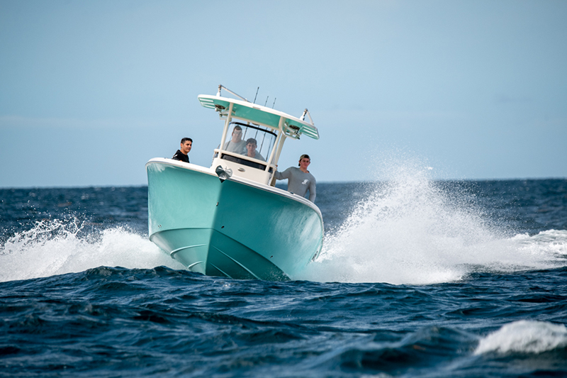 St_Aug_News's tweet photo. DAYTONA BOAT SHOW
Daytona International Speedway,
Daytona Beach, FL17 – 19 Jan, 2020
Sea Chaser
dealership: Aloha Marine Inc
Check out the complete List of shows: https://t.co/ei7Y3u14ve
via @Sportsmans_Life
#cskifflife #boating #fishing https://t.co/N95LL1HhAp