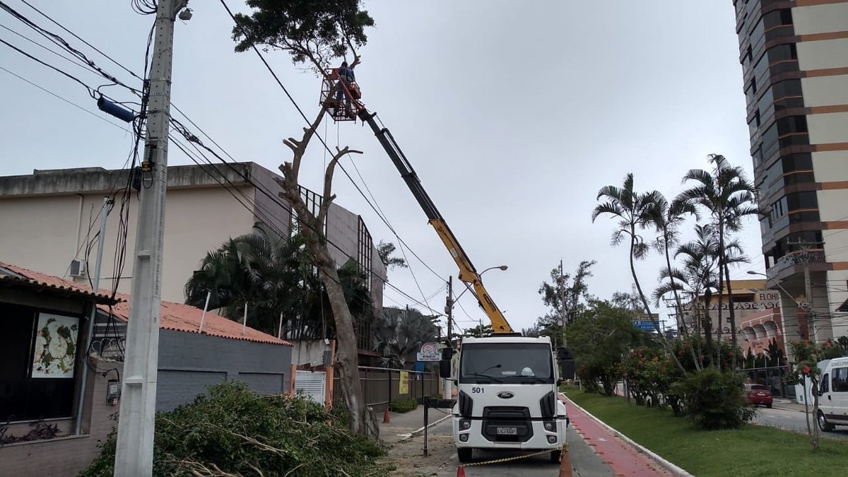 limpatech's tweet image. Serviço de poda na Rua Agenor Caldas.

Serviço técnico realizado com segurança! 

#PorumaMacaemelhor @draluiziojunior