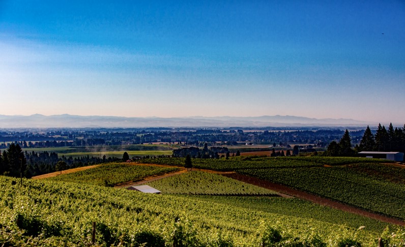 On this chilly Friday, we're staying local and enjoying our bottle of Firesteed in the beautiful Dundee Hills! Wishing everyone a wonderful weekend! #drinklocal #firesteedfriday