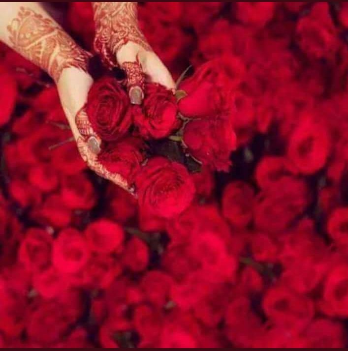 PariiKi's tweet photo. @KashifK22405003 @IamSteyr جو کوفی میرے ساتھ پینا پسند کرتے ہیں  یہ والی اور پھول بھی انکے لئے نام 🤐 👇👇👇👇 https://t.co/P818htO99m