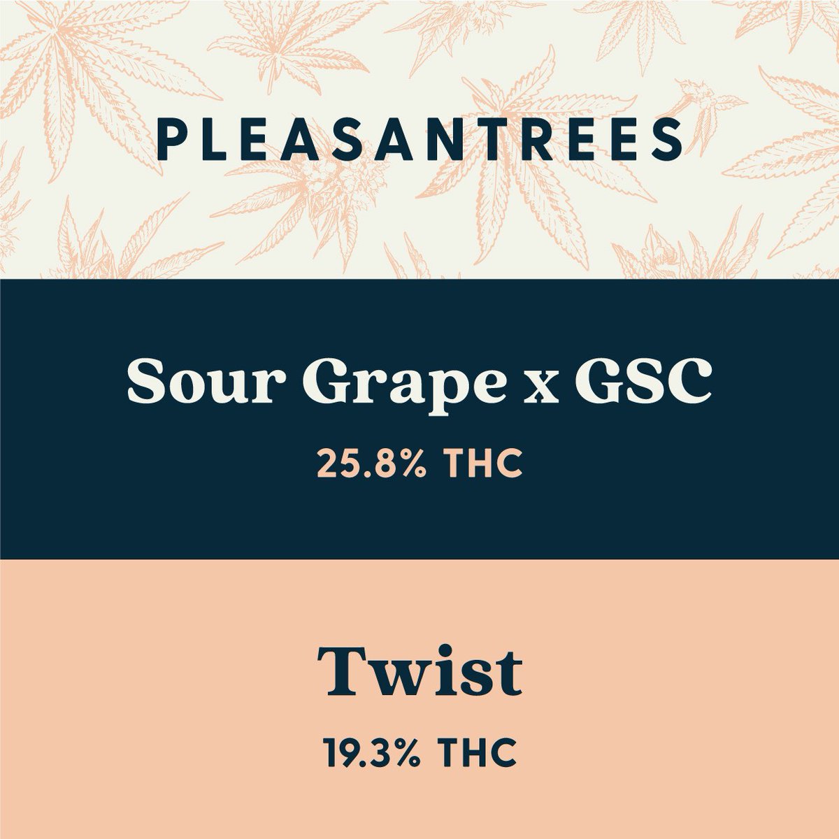 pleasantreesmi's tweet photo. We're excited to announce that we’re now partnering with @A2Wellness to bring you more of the experiences you love. Stop by Arbors Wellness this Sat or Sun and meet our team. First 100 people through the door each day get a free Pleasantrees gift! #withpleasantrees #cannabis https://t.co/JbJjDJtZdE