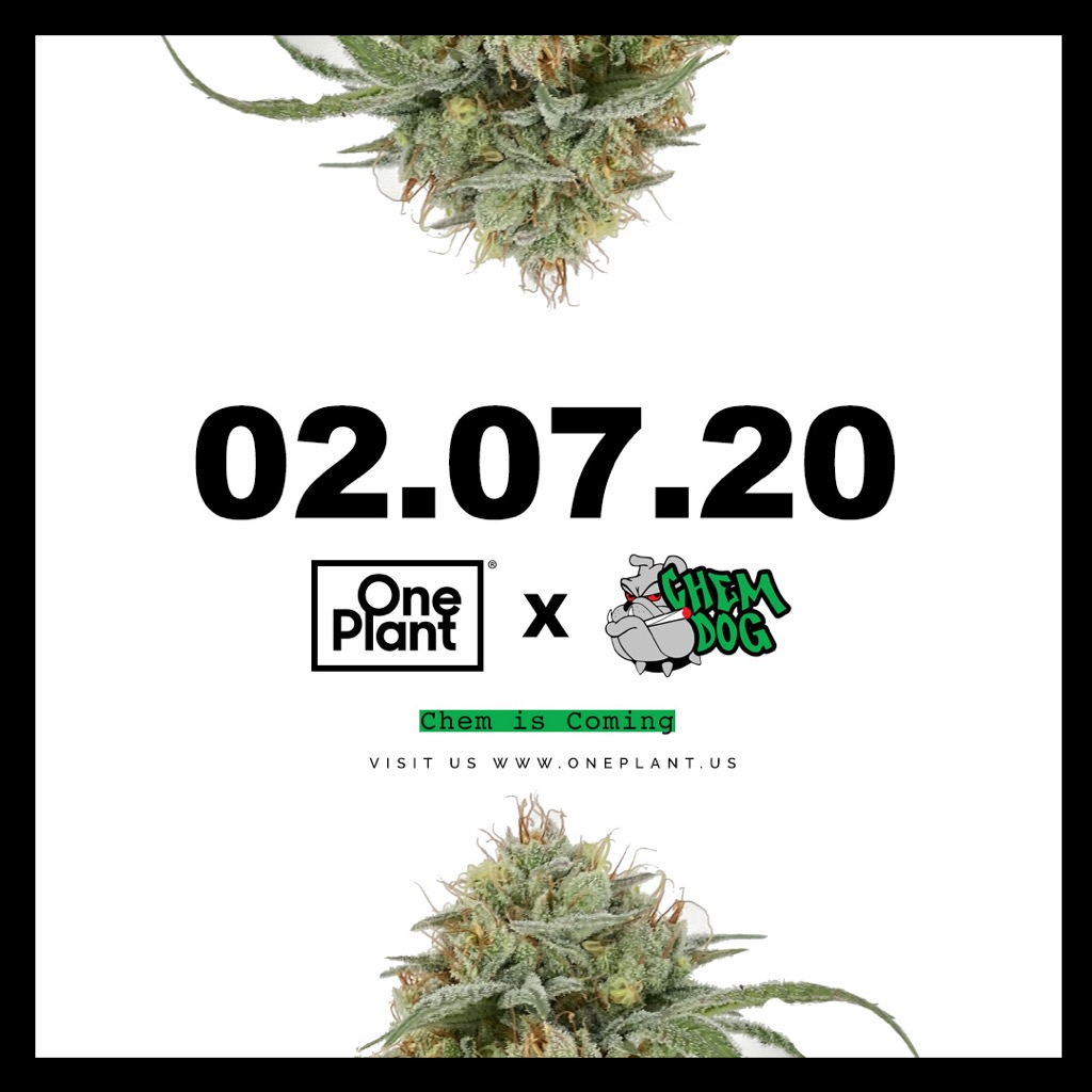 One Plant tweet media