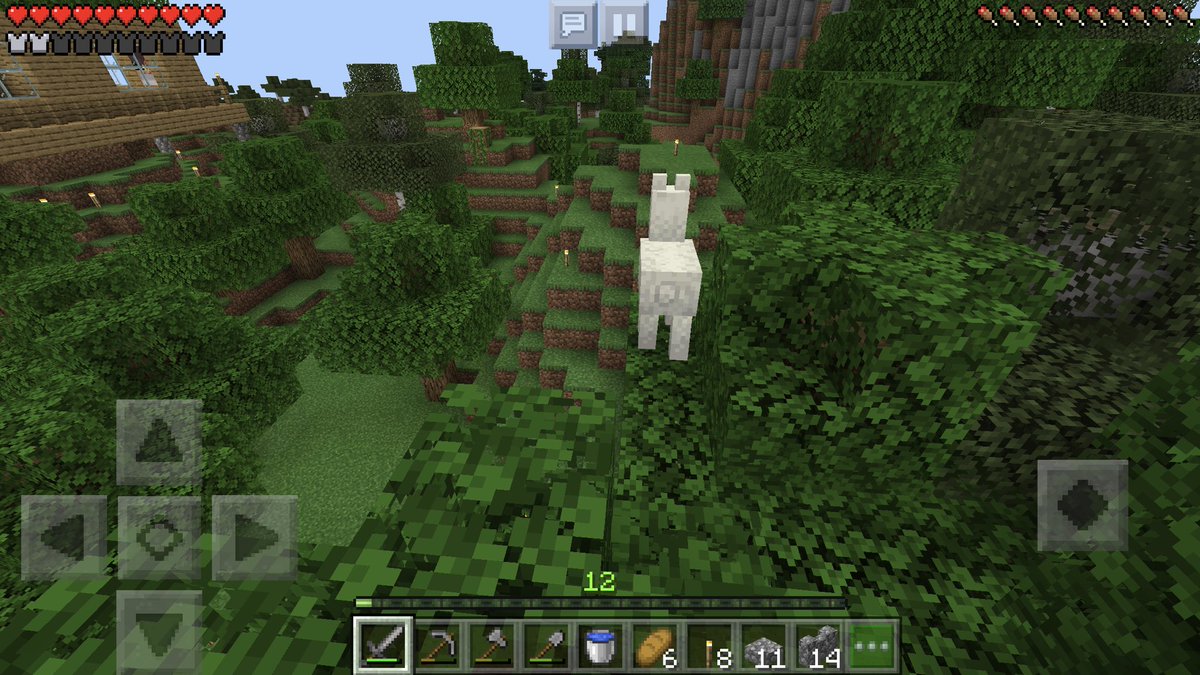 せのあにジャンゴゥ Twitterren 不思議な家を探索した後 拠点に帰る途中に 木の上を歩くアルパカを見つけました 笑 オシャレな服着てないから 野生のアルパカかな つ ﾓﾌﾓﾌ せのルド１ マイクラ Minecraft