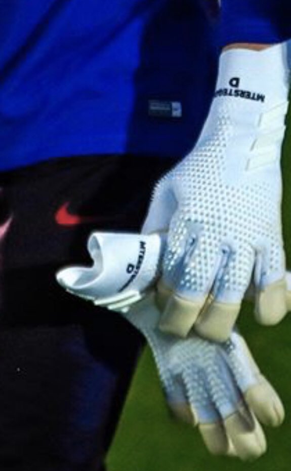 ter stegen adidas gloves