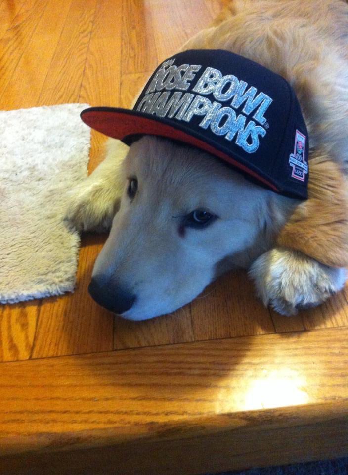 BarstoolMSU's tweet image. Happy #GoodBoyFriday MSU! We got some real Spartan Dawgs right here. GO GREEN!

⬇️⬇️⬇️⬇️