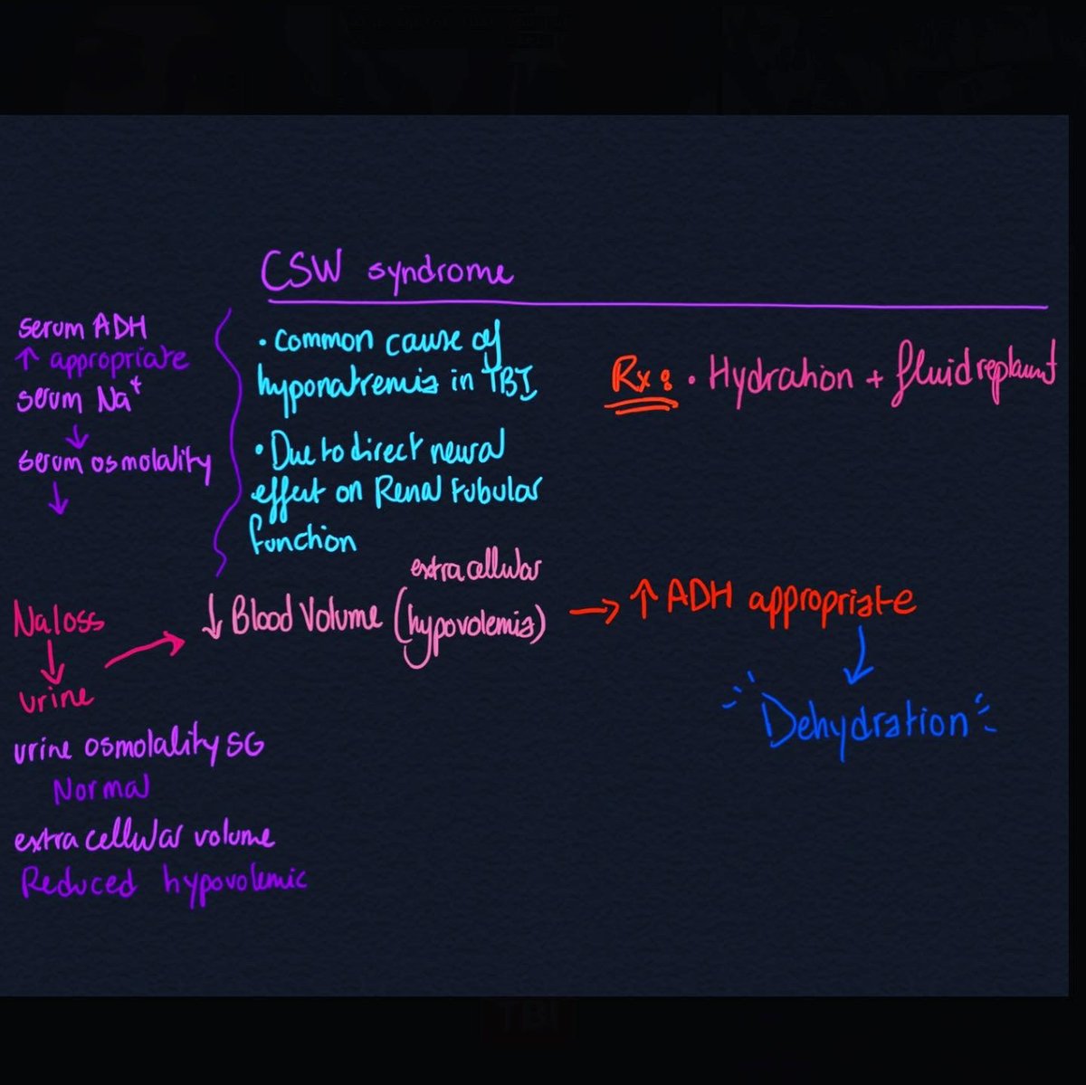 PMRnotes's tweet photo. Neuroendocrine disorders in TBI🌋🚧🥵 https://t.co/Q0iNyKxpNo