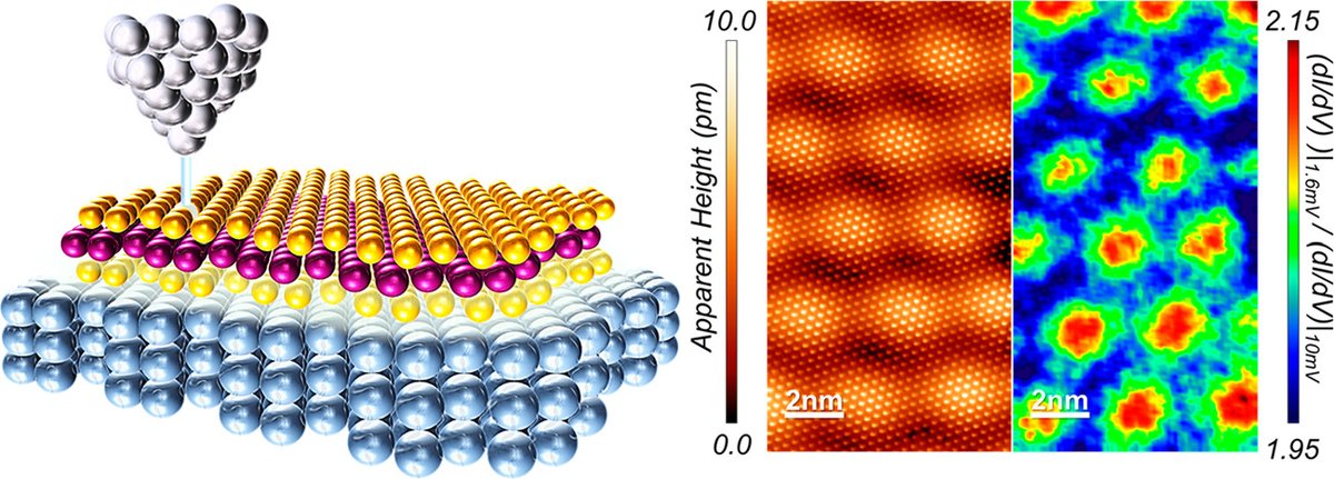 nanotrac's tweet photo. ACS Nano [ASAP] Proximity-Induced Superconductivity in Monolayer MoS2: ACS NanoDOI: 10.1021/acsnano.9b07475 https://t.co/yZqJRTJVkn Via @acsnano #ACSNano #Nanoscience #Nanotechnology #Biology #MaterialsScience #SelfAssembledStructures #TheoryOfNanostructures https://t.co/iIjXJMtm8A