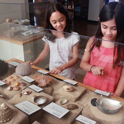 Ocean Commotion Family Day at theNAT