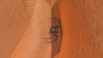 theXRman's tweet photo. We just pushed an update to our #FREE #VR climbing game #ACVR #AdventureClimbVR - now has #knuckles support, more #virtualsmells, fixed memory leak bugs, improved the much loved spider and more! https://t.co/2rEPSYjIyL
#FreeFriday #valve (and more coming soon!) https://t.co/3jCyrQ2u8I