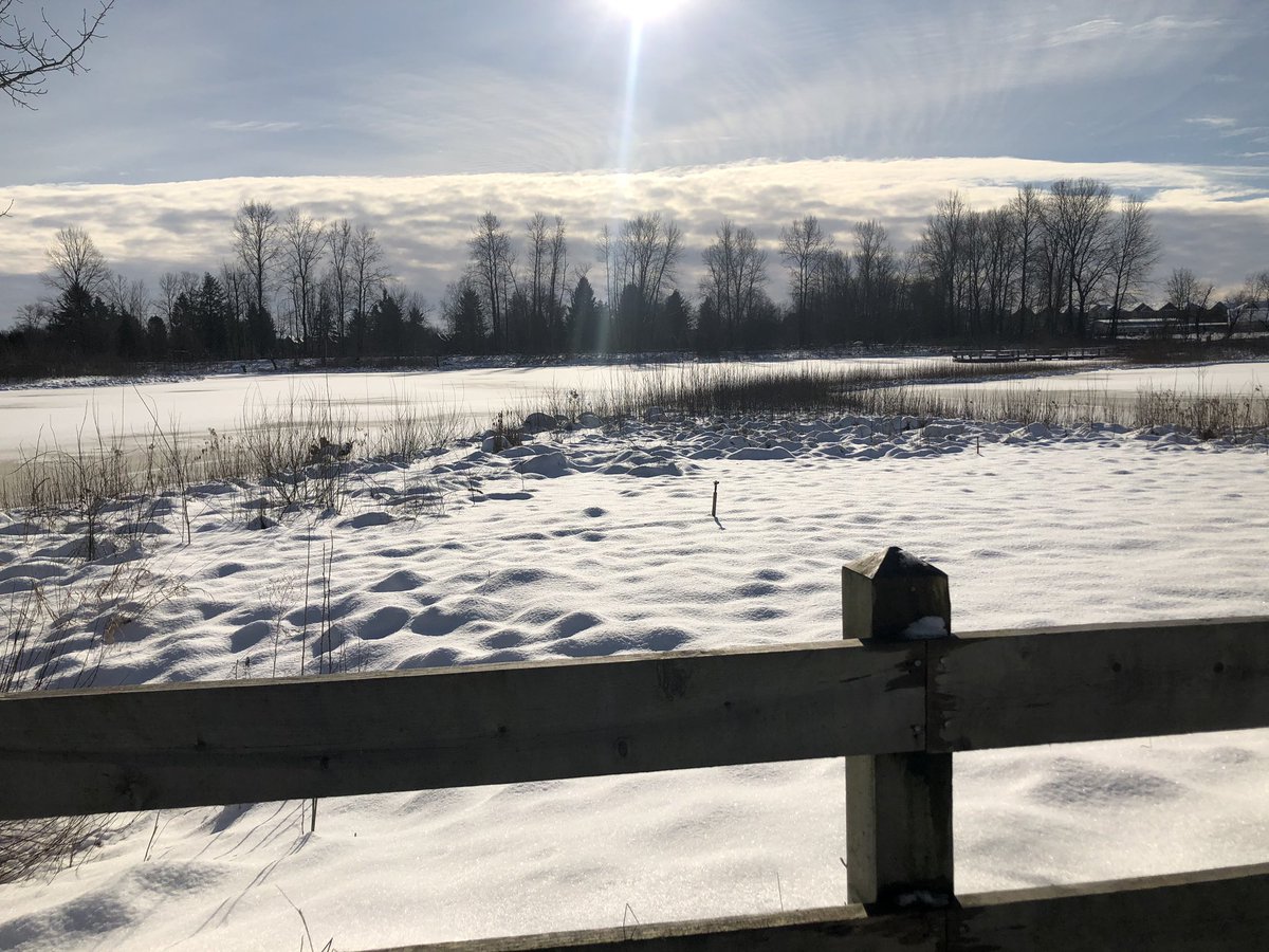 CityofPoCo's tweet photo. The calm after the storm - nature at its best. Hope you get a chance to soak in some sun. Weโd love to see your snow photos - pls tag us and use #winterinpoco or send to https://t.co/xZuLsj7BWk
#portcoquitlam #naturallypoco
#poco https://t.co/TwCkV8xb6y