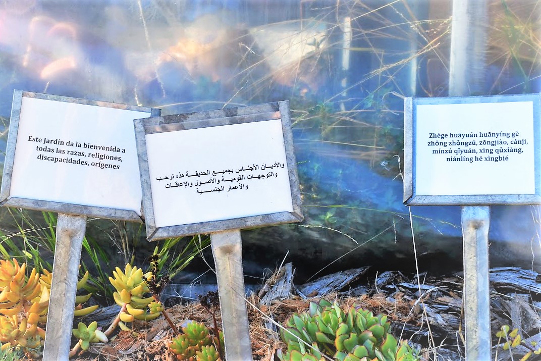 Our community gardens across #SF are welcoming places for people of all ages, genders, and races. It’s the Urban Sprouts way. 
#celebratediversity #urbangardening #community