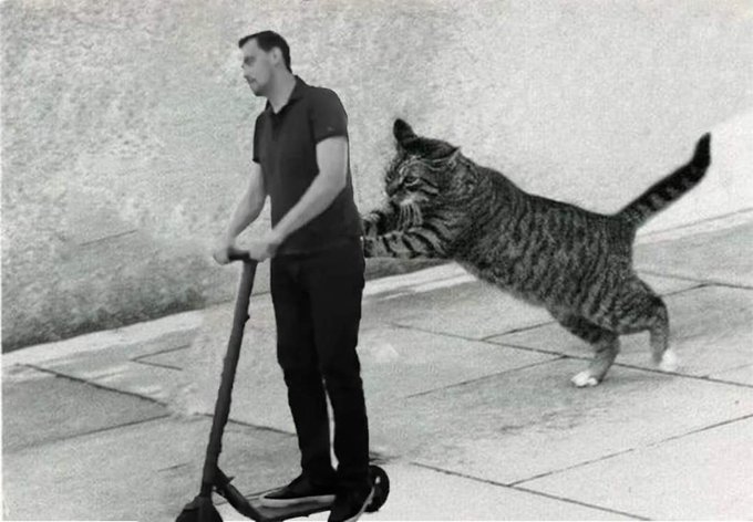 "Схематозов" в ГАСИ не будет, - Гончарук - Цензор.НЕТ 8124