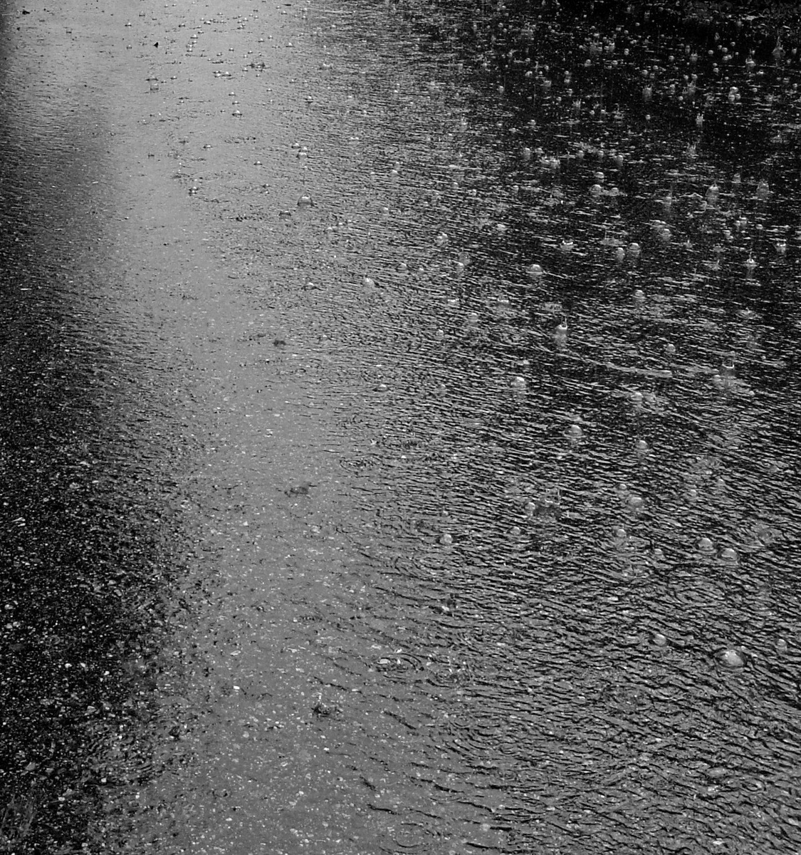 asphaltchipseal's tweet photo. No asphalt today #Asphalt #DrivewayContractor Stay safe in out there. https://t.co/UkHjQOusvU