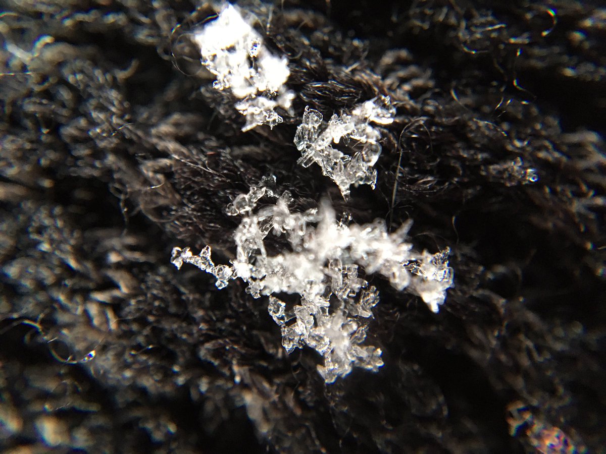 Shun Tsutaki 東京都世田谷区 11 00 直径3mm程度の角板と針状の集合体 風が強いためバラバラになってしまう 関東雪結晶