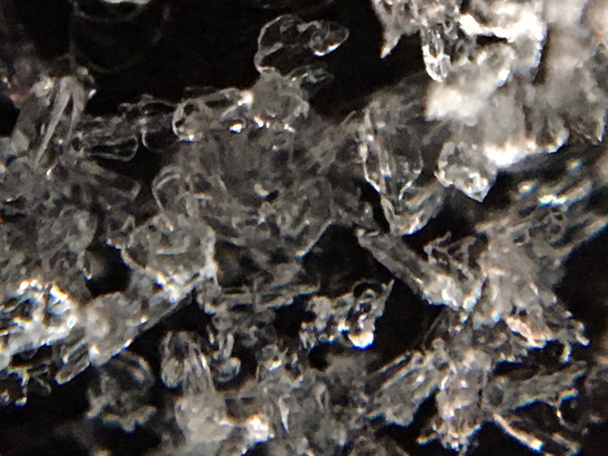 Shun Tsutaki 東京都世田谷区 11 00 直径3mm程度の角板と針状の集合体 風が強いためバラバラになってしまう 関東雪結晶