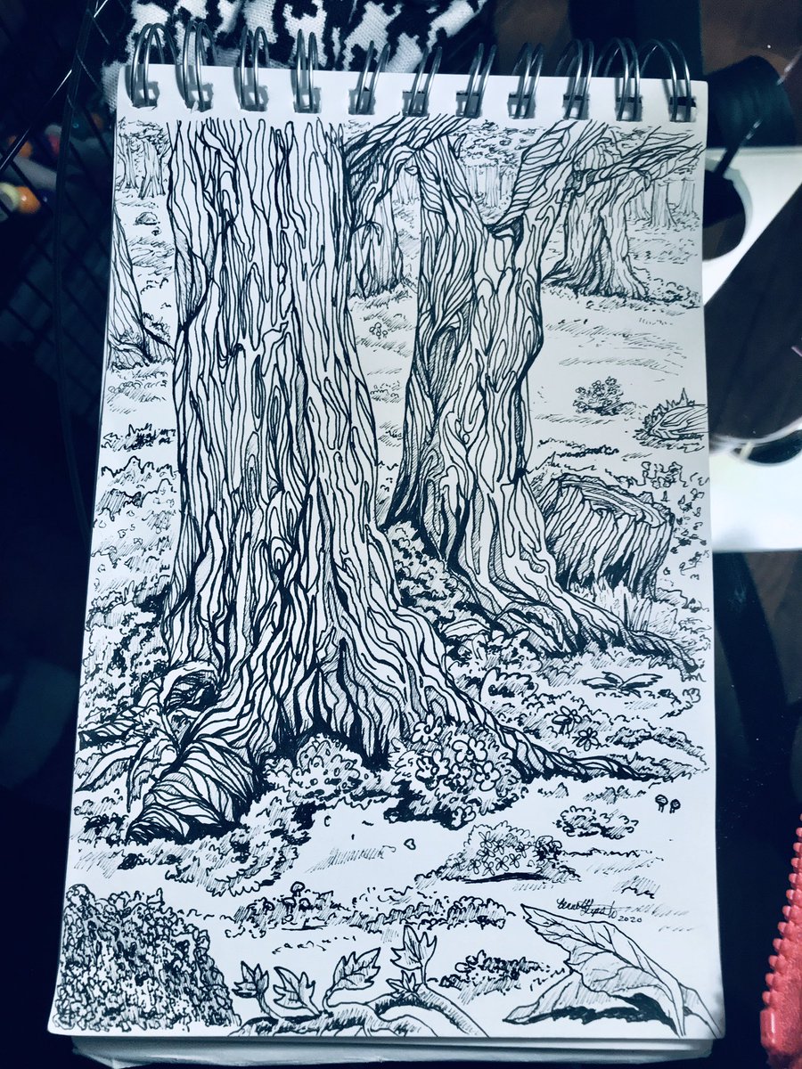 bennettgl2's tweet photo. Ink Timber ink on sketch paper

“But let all who take refuge in you rejoice;
let them ever sing for joy,
and spread your protection over them,
that those who love your name may exult in you.” Psalm 5:11

#art #sketch #ink  #scrumscree #bennettlipskiart #trees #woodland #creation https://t.co/iE2jhoXU6P