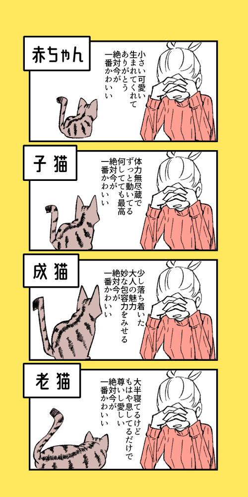 わたしと猫の殿3 #4コマ #オリジナル #実録 #漫画 #猫 #猫漫画 #エッセイ https://t.co/k3yQVFKNjR 