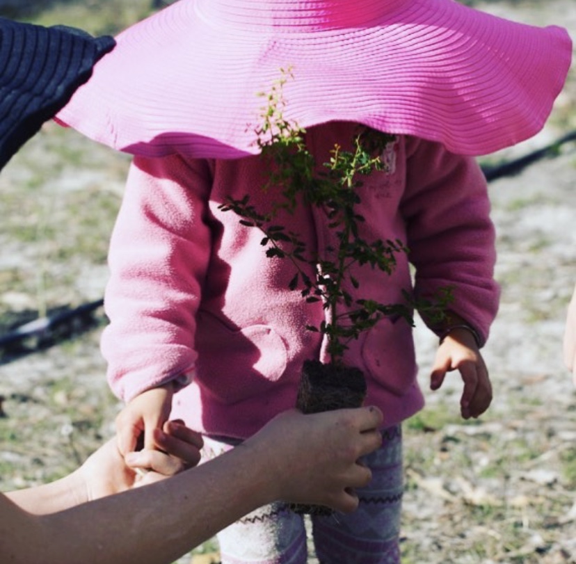 GlobalBabes's tweet photo. Committed to our vision to "be the change", Global Babe has so far planted 4,000 trees to create more natural shade and reduce carbon levels. With an end goal of planting two million trees, Global Babe is committed to helping save the planet.

#savetheplanet #bethechange https://t.co/B2TNiBpWNS