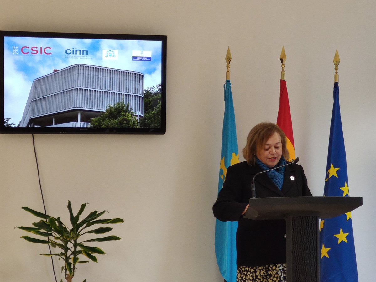 CSICasturias's tweet photo. Esta tarde la presidenta de @CSIC ha inaugurado el museo MUNDO 3D en la sede del @NanoCINN https://t.co/trTJAebCpC