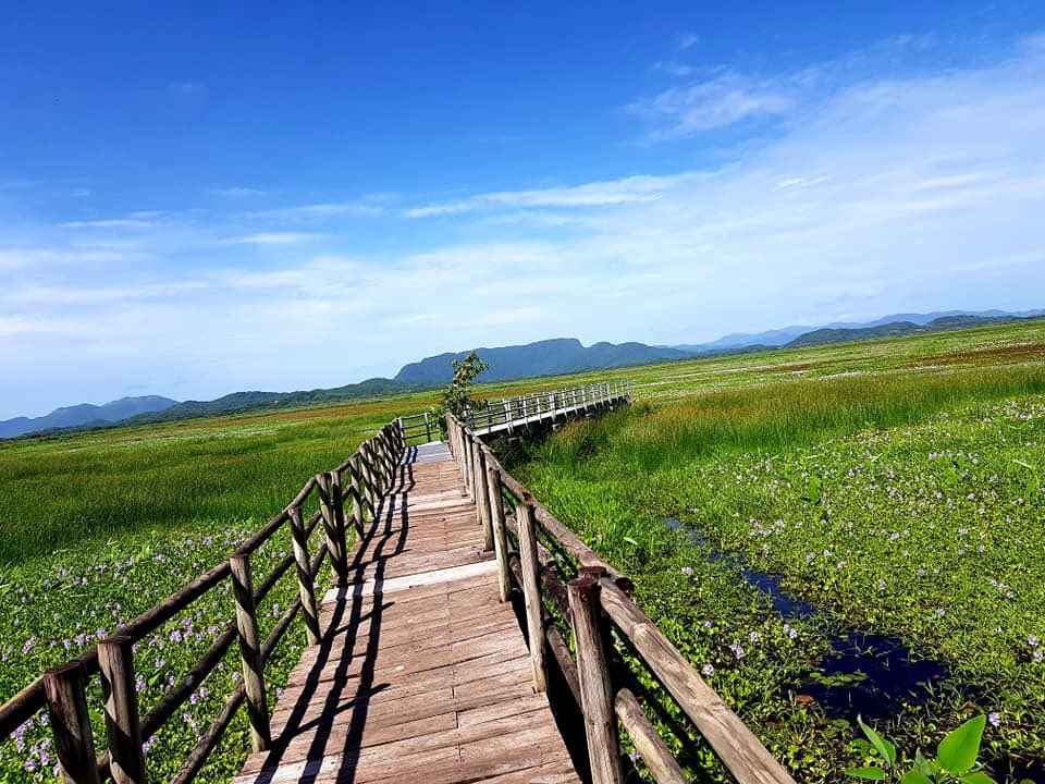 rhythmoftime's tweet image. Palo Verde National Park#Birding#Costa Rica💚