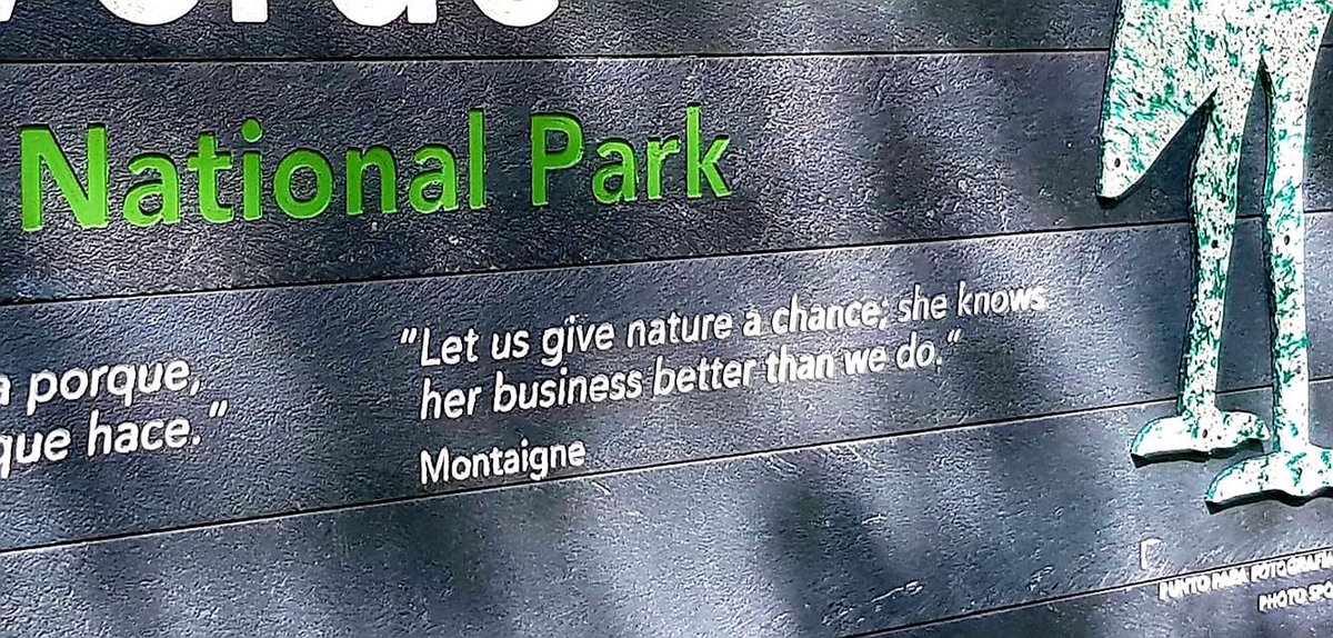 rhythmoftime's tweet image. Palo Verde National Park#Birding#Costa Rica💚