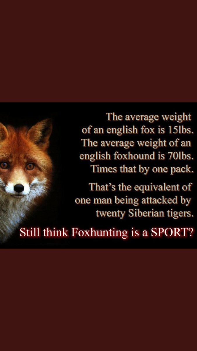 @Bufftontuffton1 @HuntEast Hunts are getting nastier emboldened by this government! The nastier they get, the more effective we know we are!