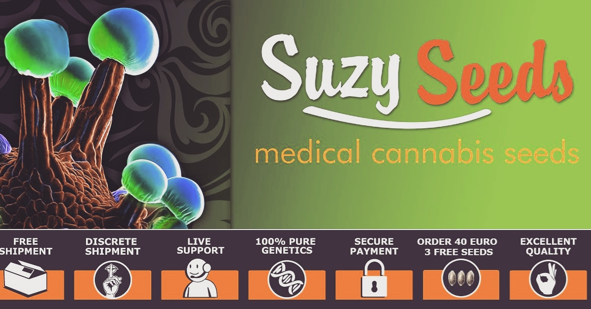 SuzySeeds's tweet photo. It's been a long and rocky way, but everyday more motivated to keep our mission...#newstrains will be announced very soon #bloodorangeline π #suzysog18line #medicalcannabis
#cannabiseeds #onlystablegenetics #onelove #Suzyseeds https://t.co/SRyVtrI5q4