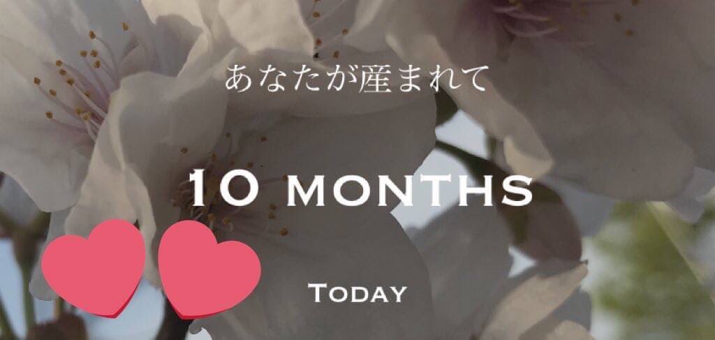 K__310__'s tweet photo. ✰︎2019.3.12~2020.1.12✰︎

        10months  次男坊 💓💞

・つかまり立ち完璧・お座り完璧 
・お兄ちゃん追いかける ・ハイハイ早い
・何でも口に入れる ・甘えん坊 ・よく笑う ・人見知り激しい ・アンパンマン大好き 
・テレビ大好き

日々成長してる🥺����
産まれてきてくれてありがとう❤ https://t.co/0Jzu6r2ydb