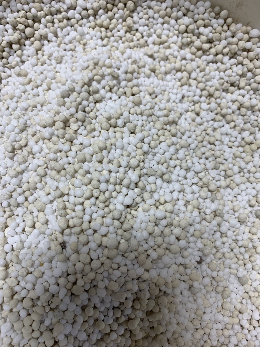 gilsab67's tweet photo. Nice quality and dustless fertilizer going into hopper bins on farm!! Ready for plant 2020!! https://t.co/B1ycEOgRNF