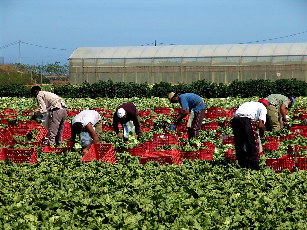 Western Growers Insurance Services tweet media