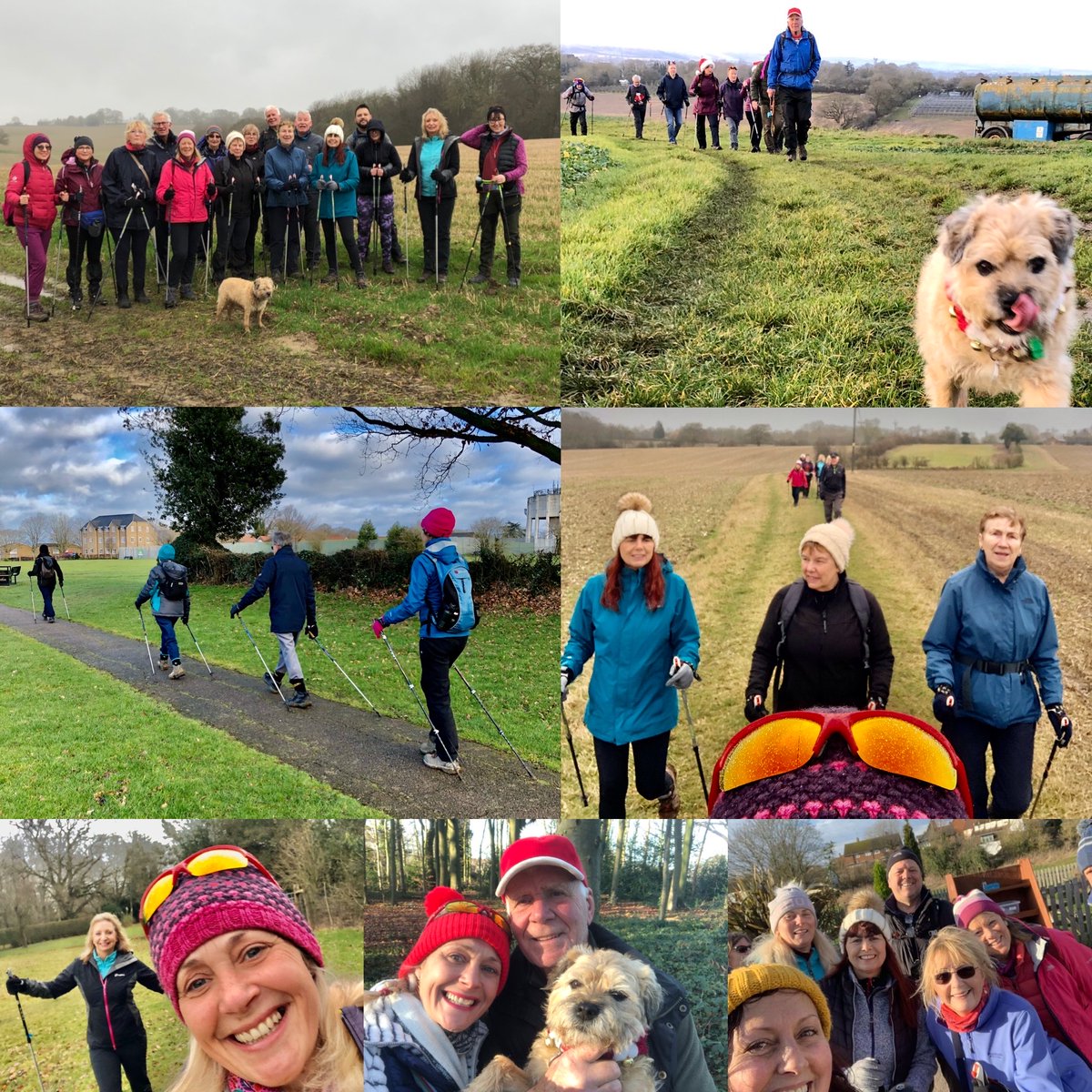 FitHaven's tweet photo. 💚Stevenage Nordic Walking News, Thursday 16th January 2020💚 - https://t.co/1ForBcIqes https://t.co/fxqUQhzFvj