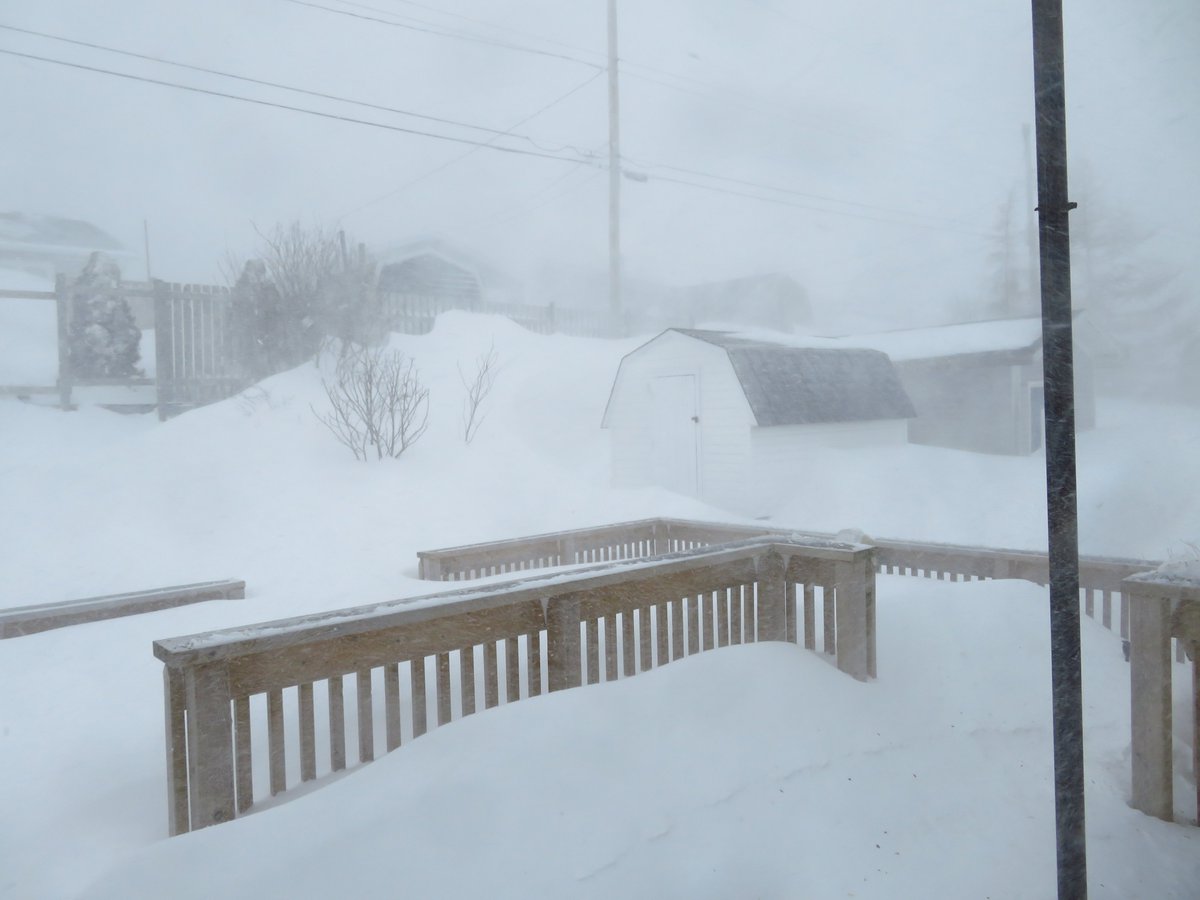 almelou's tweet photo. A raging tempest, #nlstorm #nlwx when the  air so white blew all day and night, covering the structures in the backyard with snow. #ThePhotoHour https://t.co/ouxEkpdwCG
