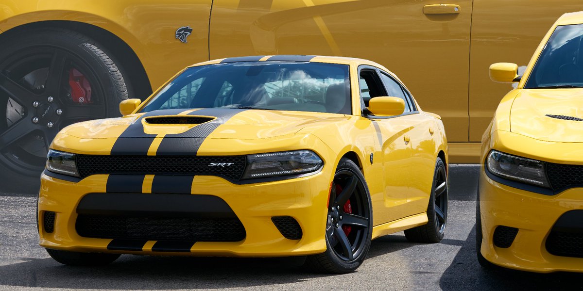 A cat that turns the competition to mice.
#Dodge #DodgeCharger
