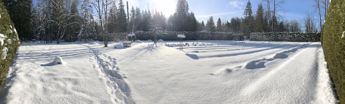 EastRidgeFarms's tweet photo. Happy frosty #Friday! What a beautiful day.
The farm entrance is plowed and the #farmstand is open if you need some frozen #garlic.
#farmdirect #smallfarm #winter #winterviews #mapleridge #local #snow #bcsnow #cold #bcfarmfresh https://t.co/PehHOQ8zMF