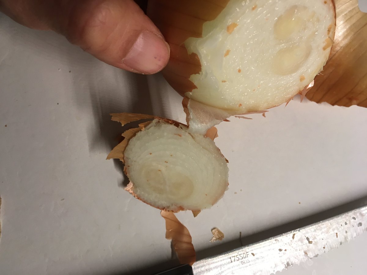textdog's tweet photo. Here's how 3 simple cuts and a few rips creates plastic wrap out of thin air: 1. No cutting board 2. No hand-washing needed 3. No waste 4. No plastic needed for storage 5. Watch the upcoming video for the full rip #lazycooking #lazycookingforadults #onions #foodie #artisin https://t.co/dk4uVykWdI