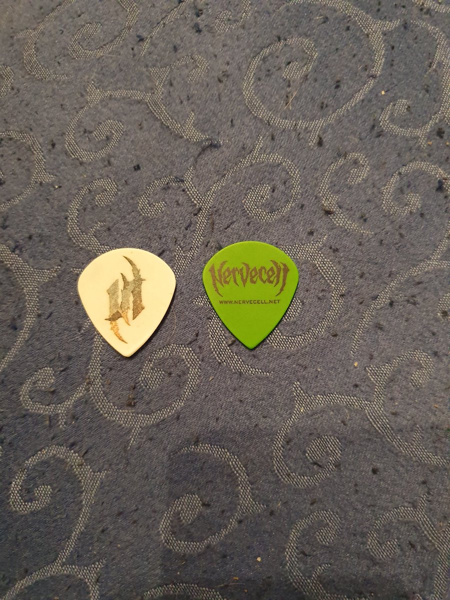 Plektrum von <a href="/nervecellband/">Nervecell</a>