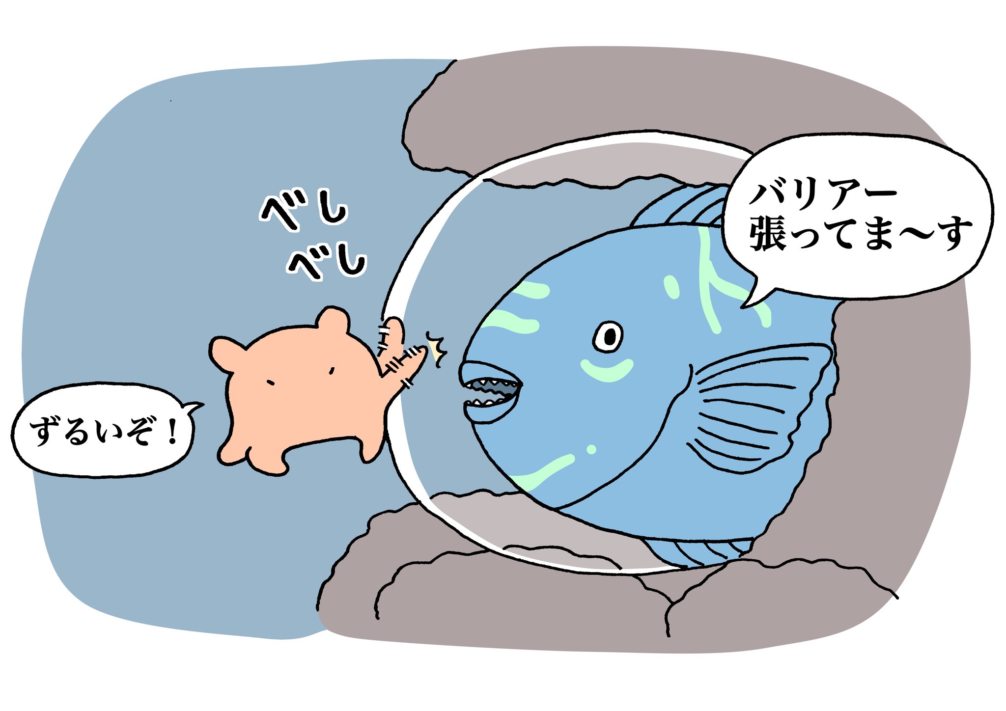 すぎもとゆうま ハゲブダイさんに会ったよ メンダコ Opisthoteuthis ハゲブダイ Chlorurussordidus イラスト Illustration すぎもとゆうま ハゲブダイさんに会ったよ メンダコ Opisthoteuthis ハゲブダイ Chlorurussordidus イラスト Illustration