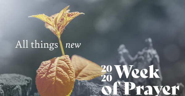 bdsumner's tweet photo. This week @jerichoridge, we will be joining with our @cdnmbconf family across Canada for the 2020 Week of Prayer, beginning Sun, Jan 19. Visit the website www.https://t.co/ew7IuvZf4d to follow the prayer guide or download a PDF copy of the prayer booklet. #cdnmbpray https://t.co/7xNcyEDOGb