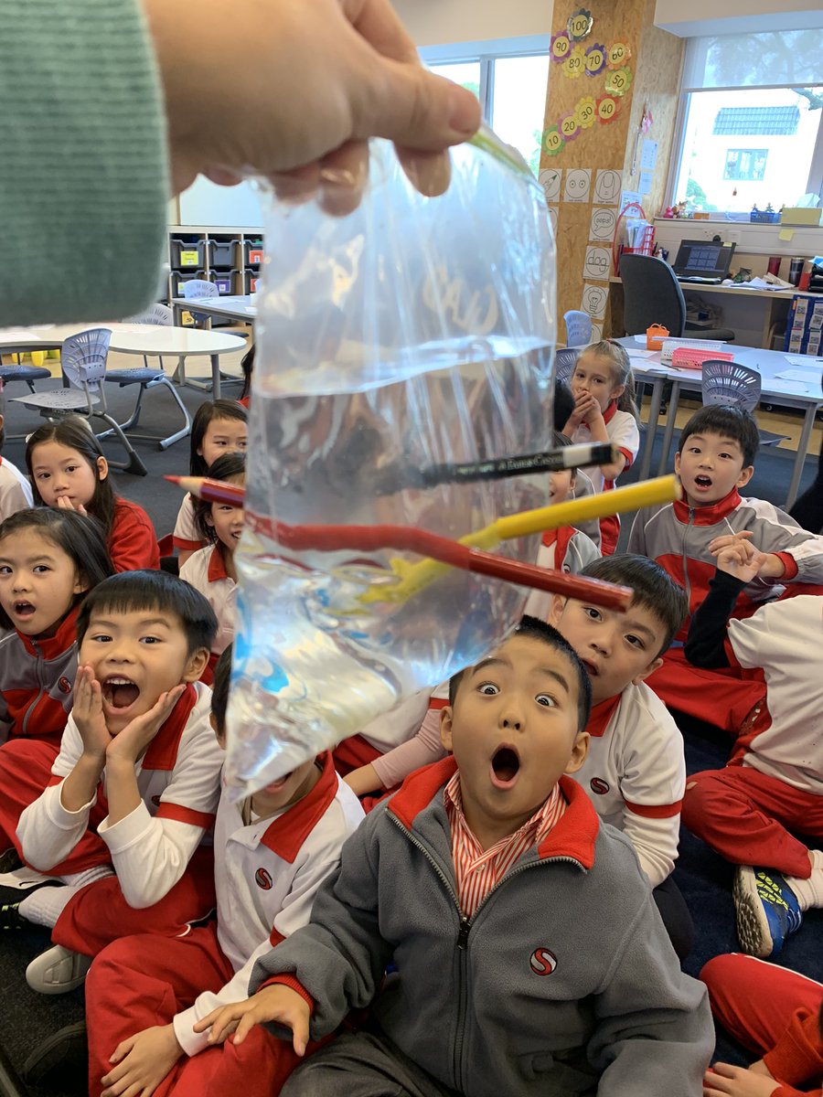 sjsesf's tweet photo. Year 2, wrapping up ‘How the World Works’. #sciencejoy #experiments #collaboration #PYP #ESF https://t.co/PpXdDsnA1R