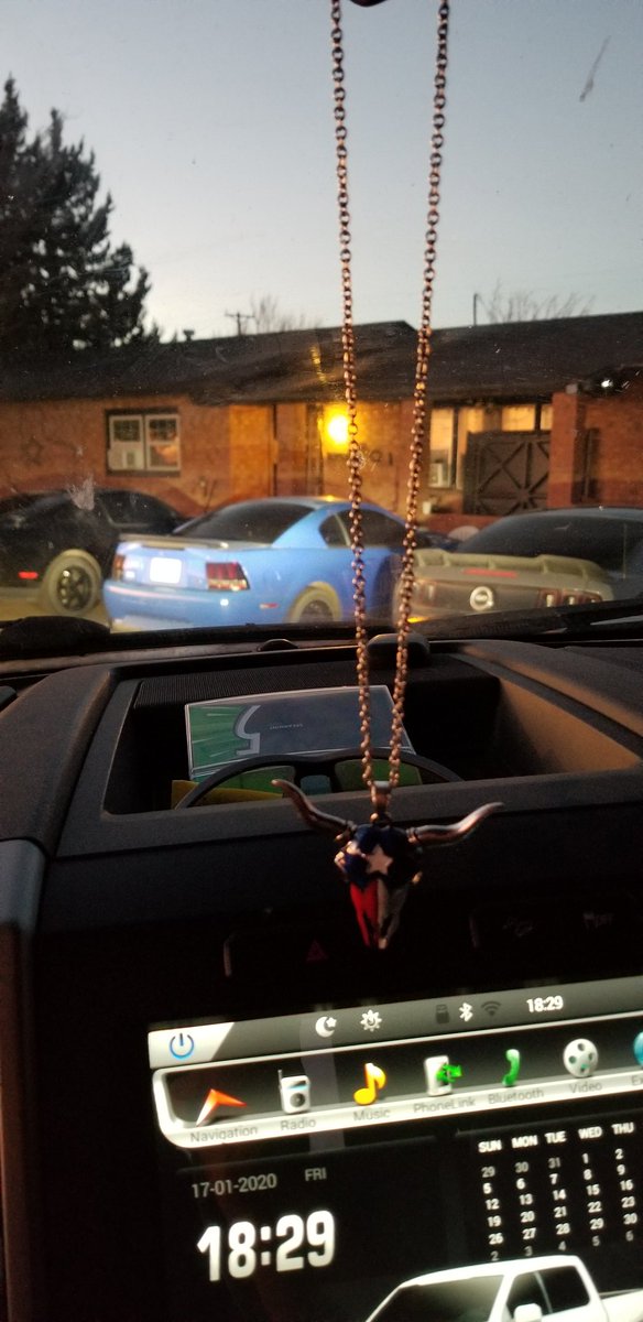 Cam_Amalla1's tweet image. This is why I work my ass off, now to just find someone  to give my time to #hardworkpaysoff #modmustangs #coyotepower #fordforlife