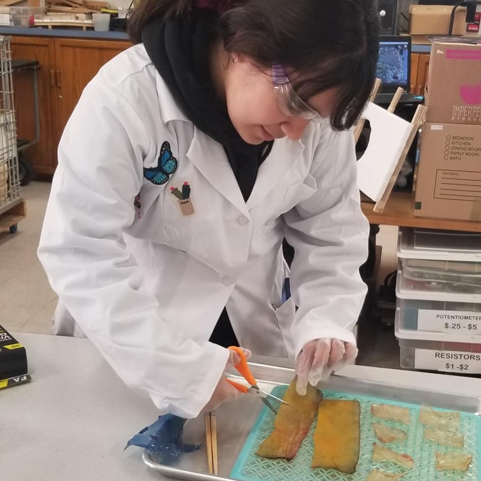 A4YA_org's tweet photo. Our #EastSanJose teen team begins their journey to the International @Biodesigned Challenge in #NYC in June 2020! @CorinneTakara is leading the #VisionVerde #BioDesign project combining #biology #art #design & #Engineering.
#DesignThinking @knightfdn https://t.co/5830Z3eI3f