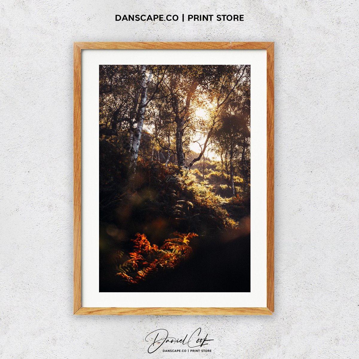 danscapephoto's tweet photo. Tree Art Woodland Print Nature Photo Peak District Autumn Rustic Colour Wall Art Large Artwork Available Framed or Canvas Danscape UK https://t.co/oZASE5zsOG #Photography #gift #wall art #print #handmade #Art #art #MyNewTag #Outdoors #TreePrint https://t.co/YufcW8jEyc