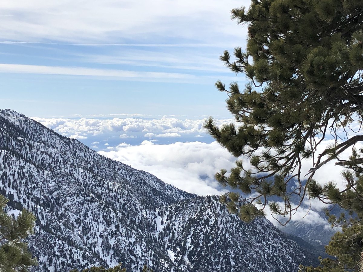 erskinetimes's tweet photo. Wedged somewhere between heaven and earth: Mt. Baldy. 60 miles from downtown LA https://t.co/kxDJEg3nfS
