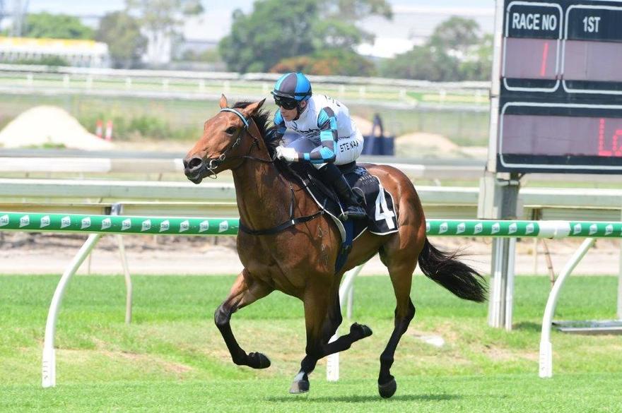 Ourhorsesfly's tweet photo. Can this boy perform some 'Magic' today @EagleFarmRacing with @RonnieStewart83 aboard?
Can't wait to cheer him home. #readyformagic #robheathcoteracing #startthedayright #betterthanready https://t.co/nyr5ysak8I